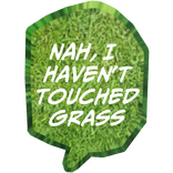 Nah, I Haven't Touched Grass - With Texture