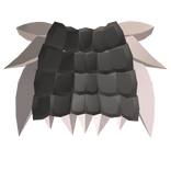 Nanachi's Unreturned Coat