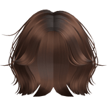 ✨ Natalie's Brown Blowout Minecraft Bob 