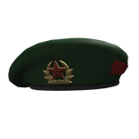 National Guard Beret