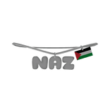 Naz 1.0 silver necklace