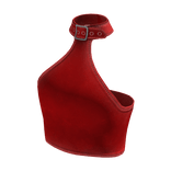 Neck Buckle Crop Top