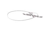 my princess sofi's necklace