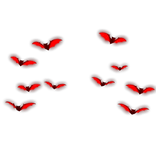 Neon Red Bat