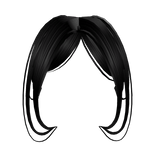 Newside bangs in Black Full combo