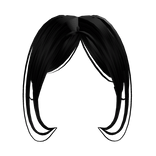 Newside bangs in black Full combo