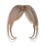  Newside bangs in blonde 3 combined