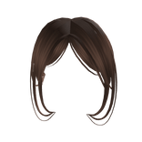 NewSide Bangs in Brown full combo