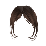 NewSide Bangs in Brown full combo