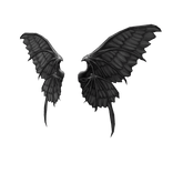 Nicoles Wings