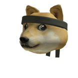 Ninja Doge