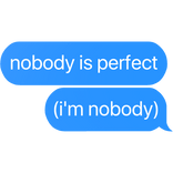 nobody is perfect (i'm nobody) text