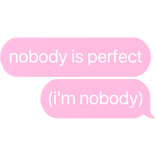 nobody is perfect (i'm nobody) text