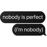 nobody is perfect (i'm nobody) text