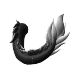 northern felkin tail (stellar)