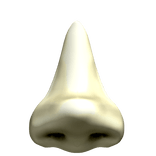 nose