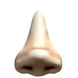 nose