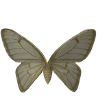 nuclear john moth shoulder pal