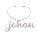 ˚ 𝜗𝜚 ｡˚ johan necklace 🌸♡