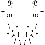 Onyx Emo Piercings Freestyle Set v2