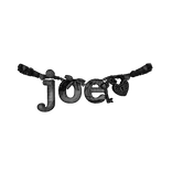 ˚ʚ♡ɞ˚ joe necklace