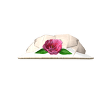 ✧ | HOR | Custom | La Rose Sage