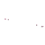 𝓢 | Sanrio French Tip Duck Nails