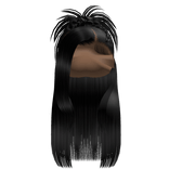 𝒫 | Spiky Braided Half Up Half Down in Black