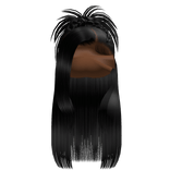 𝒫 | Spiky Braided Half Up Half Down in Black