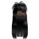 𝒫 | Spiky Braided Half Up Half Down in Black