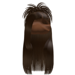 𝒫 | Spiky Braided Half Up Half Down in Brown