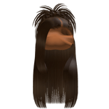 𝒫 | Spiky Braided Half Up Half Down in Brown