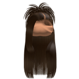 𝒫 | Spiky Braided Half Up Half Down in Brown