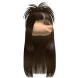 𝒫 | Spiky Braided Half Up Half Down in Brown