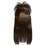 𝒫 | Spiky Braided Half Up Half Down in Brown