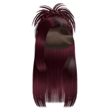 𝒫 | Spiky Braided Half Up Half Down in Burgundy