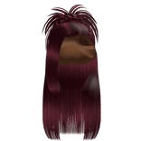 𝒫 | Spiky Braided Half Up Half Down in Burgundy