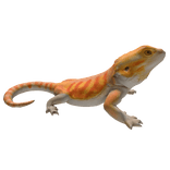 Orange Bearded Dragon Left Shoulder pet
