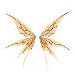 Orange Black Mystic Lace Wings