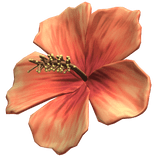 Orange Hibiscus Summer Hair Flower