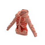 Orange Skeleton Knit Hoodie [PBR]