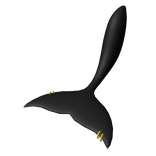 Orca Tail w gold piercings