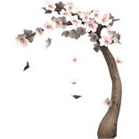 Overhanging Blossom Tree