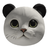 Panda Hat
