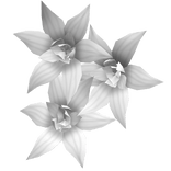 Parasite Flower
