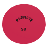 PARNATE SB Challenge Coin