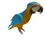 Parrot