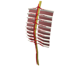 (Part of set) Optional classic zombie detailing