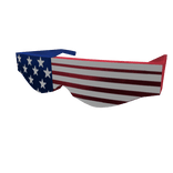 Patriot Thug Shades