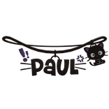 paul necklace 1.0